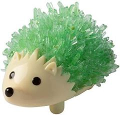 Fat Brain Toys Our Amazing Human Body Science Activity Kit - Anat