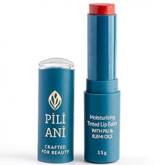 Pili Ani Moisturizing Tinted Pili Lip Butter in Mint - Infused wi